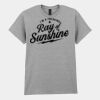 Adult t-shirt Heavy Cotton Thumbnail
