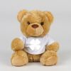 Bear in a t-shirt Thumbnail