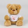 Bear in a t-shirt Thumbnail